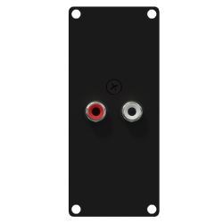 CAYMON CASY132/B Panel CASY z przejściem: 2 złącza RCA – 2-pinowe złącza skręcane, wersja czarna